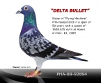 Delta Bullet
