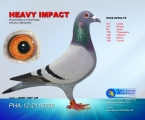 Heavy Impact