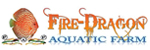 Fire Dragon – Aquatic Farm