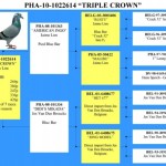 Triple Crown