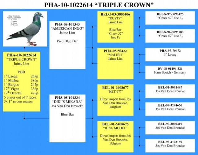 3265triple crown