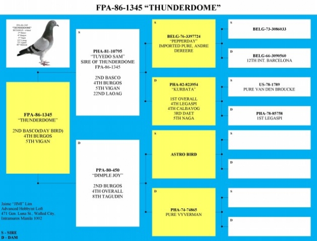 4894thunderdome