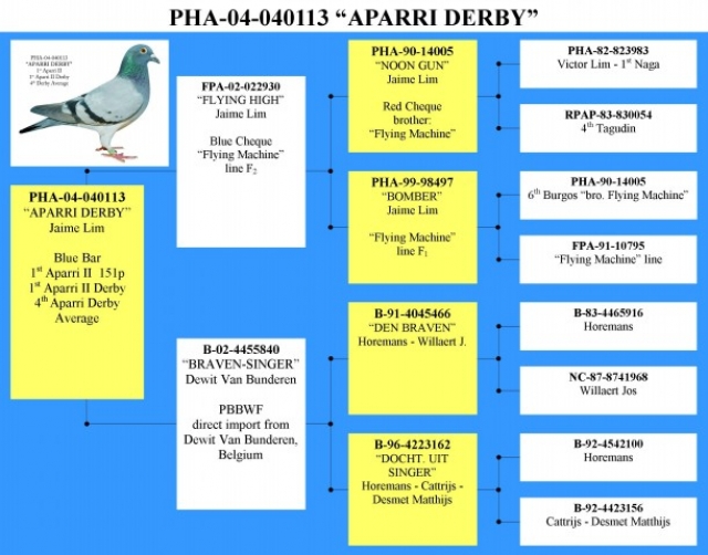 616aparri derby