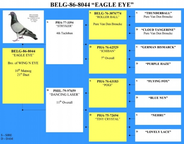 6252eagle eye