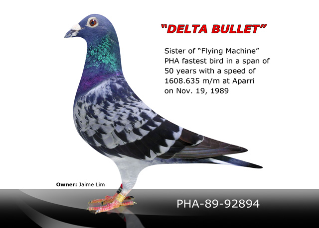 Delta-Bullet