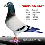 Dirty Django