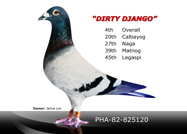 Dirty-Django