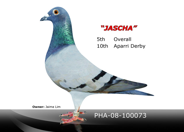 Jascha