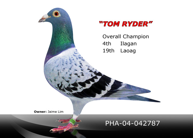 Tom-Ryder