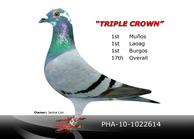 Triple-Crown