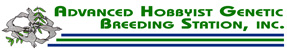 advanced-hobbyist-logo