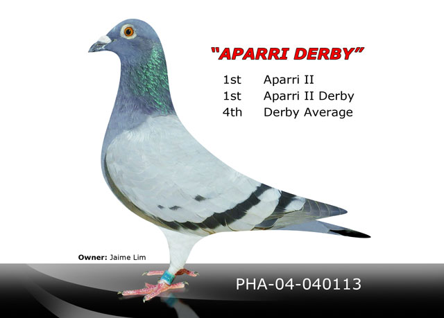 aparri-derby