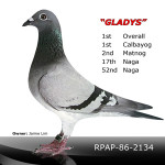 Gladys