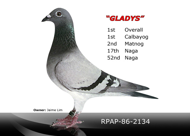 gladys