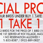 SPECIAL PROMO