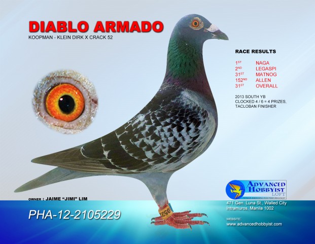 Diablo Armado PHA-12-2105229