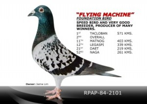 Flying machine RPAP-84-2101