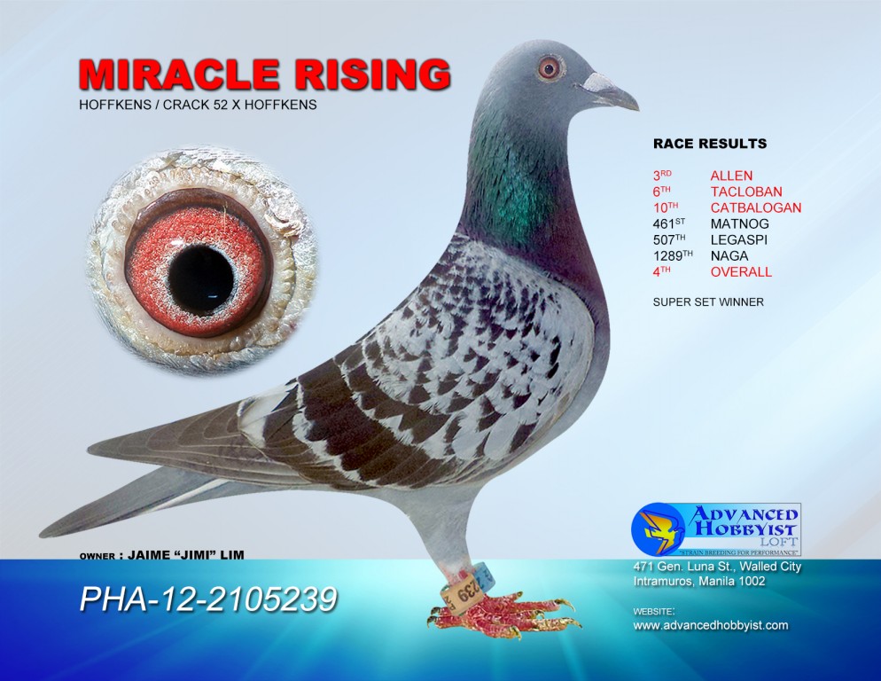 Miracle Rising PHA-12-2105239