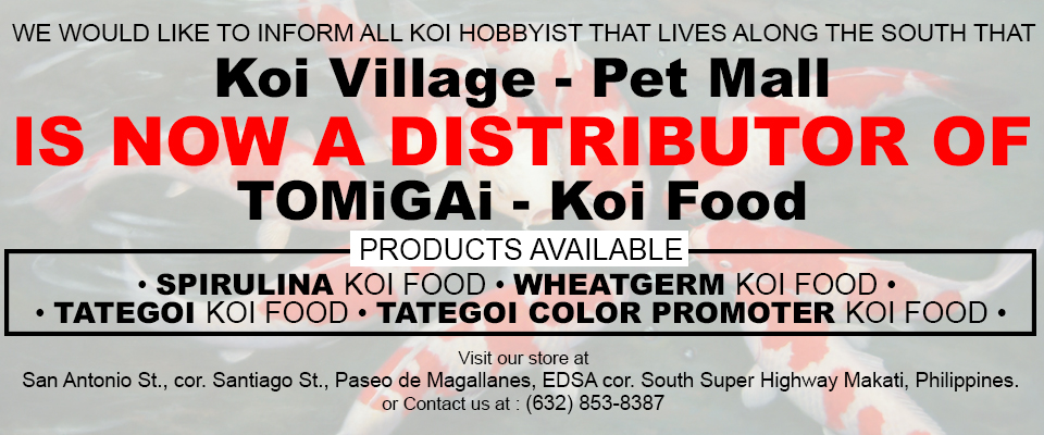 KOI VILLAGE distributor of TOMiGAi