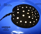 Leopoldi