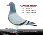 Aparri Derby