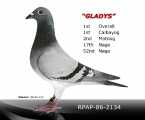 Gladys