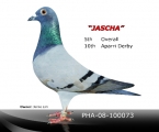 Jascha