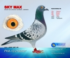 Sky Max