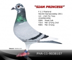 Siam Princess