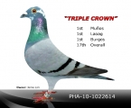 Triple Crown